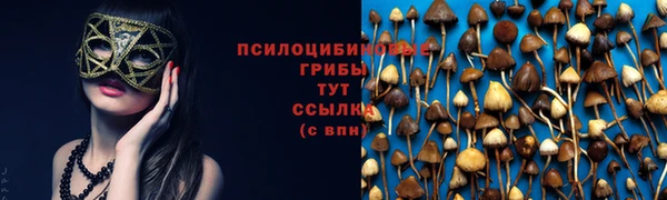 герыч Аркадак