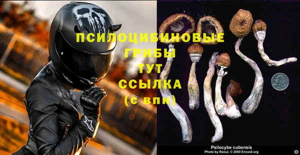 герыч Арсеньев