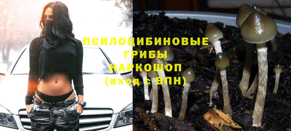 герыч Арсеньев