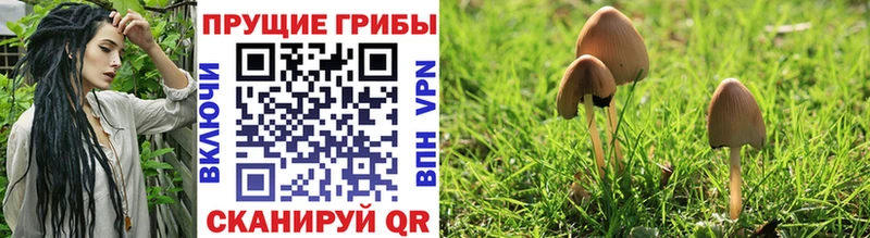 mega ONION  Крымск  Псилоцибиновые грибы GOLDEN TEACHER 